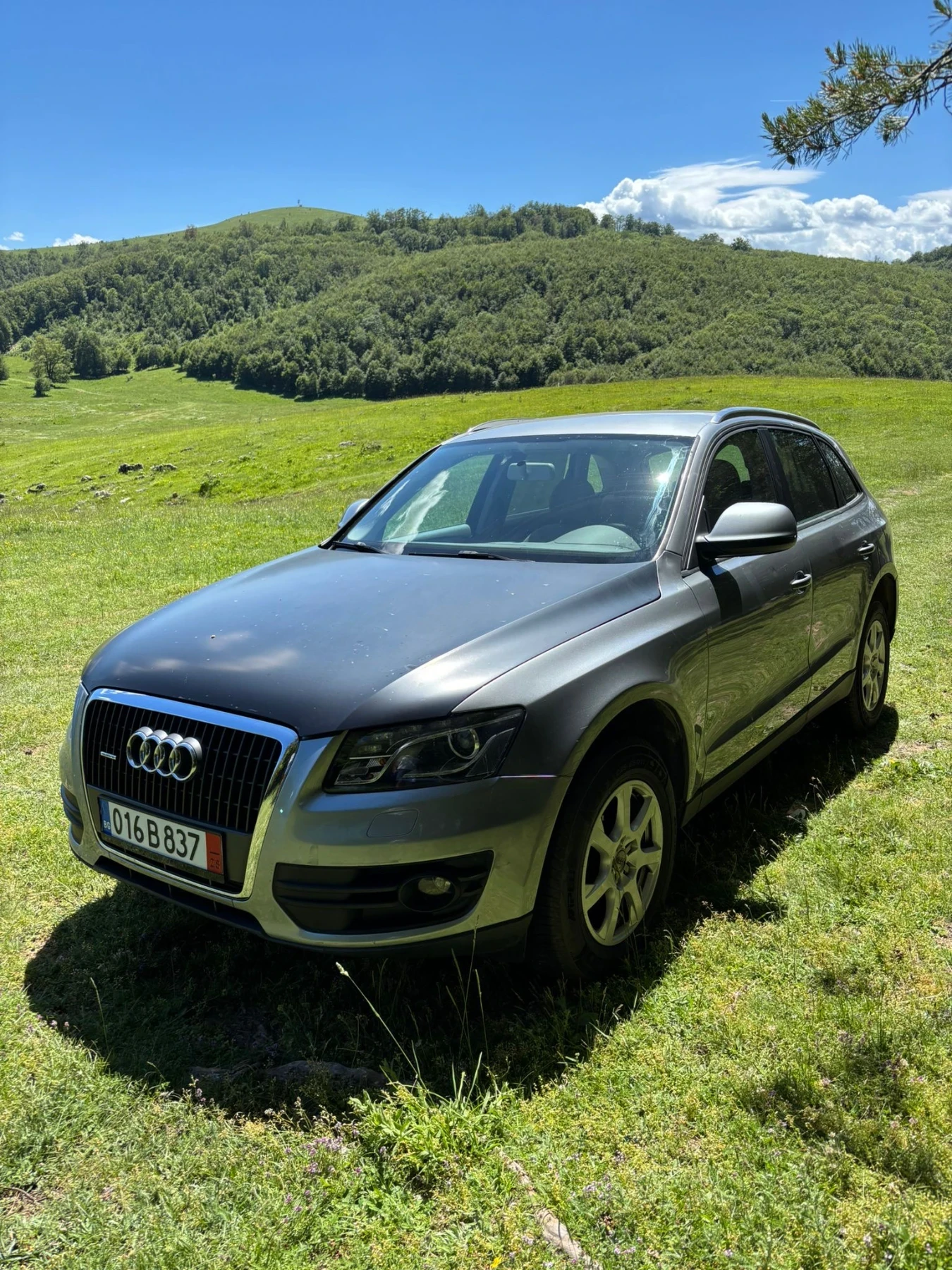 Audi Q5 2.0TDI 4x4, Джип, Употребяван, нов внос, Пловдив