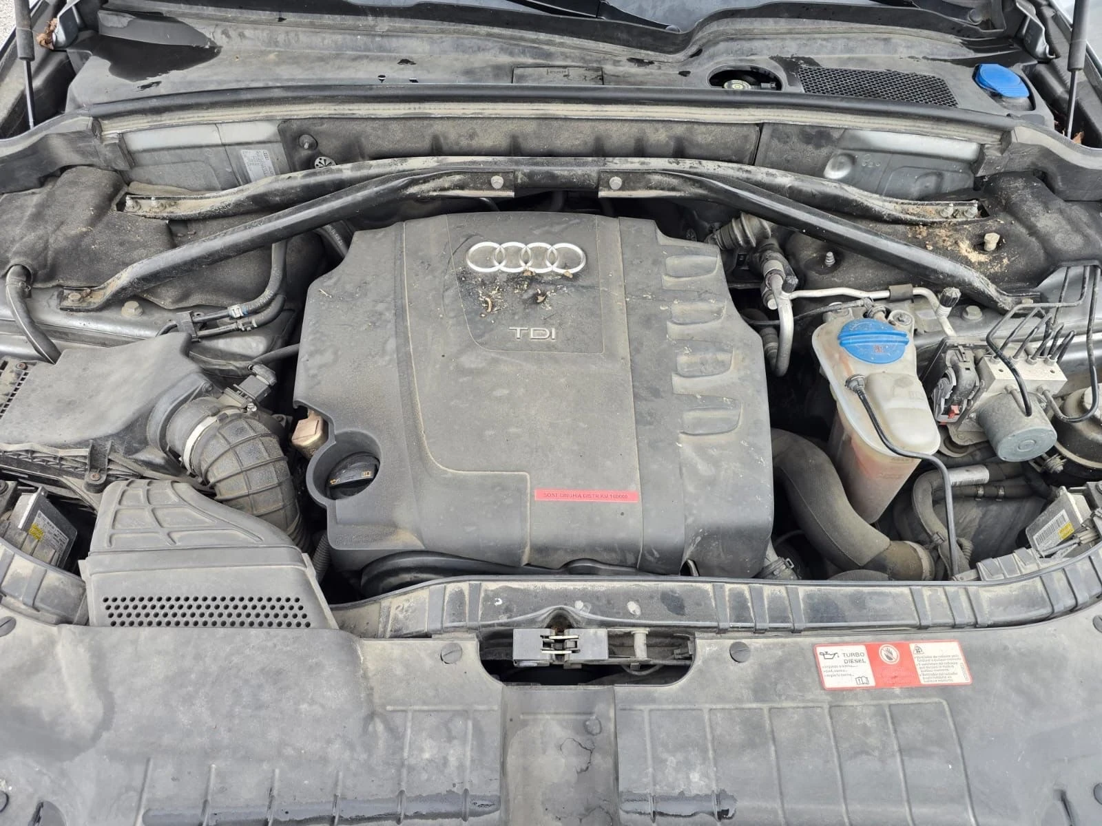 Audi Q5 2.0TDI 4x4, Джип, Употребяван, нов внос, Пловдив, снимка 9 - Автомобили и джипове - 54963528