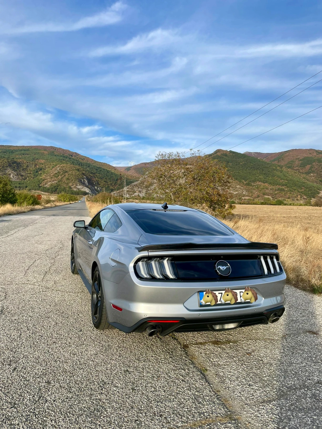 Ford Mustang 2.3 Eco boost - изображение 2