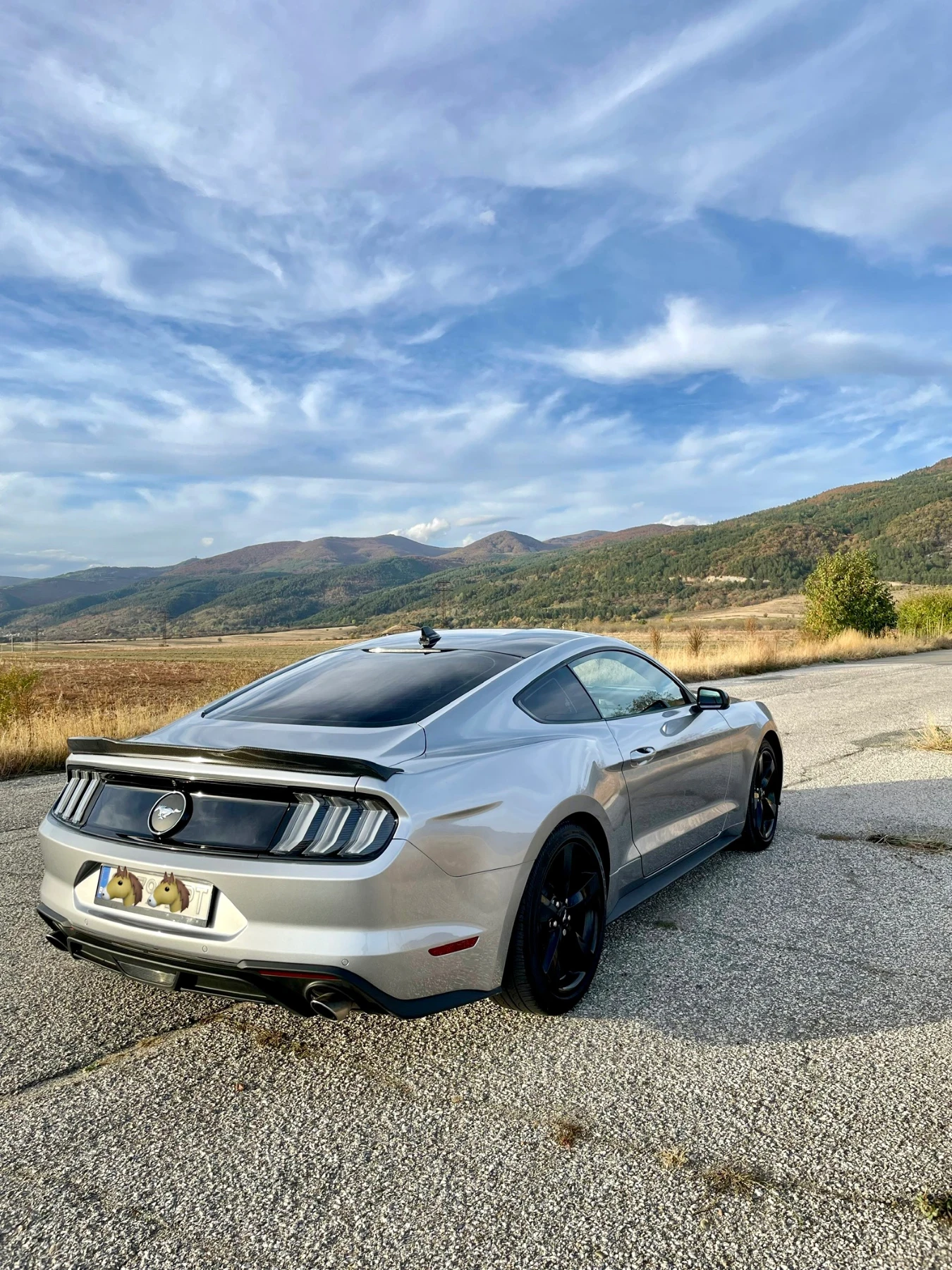 Ford Mustang 2.3 Eco boost - изображение 6