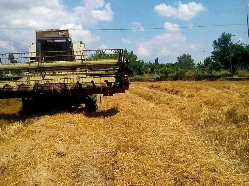 Комбайн Fortschritt Е517, снимка 2 - Селскостопанска техника - 52831855