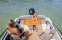 Обява за продажба на Лодка Quicksilver 605 Cruiser  ~64 050 лв. - изображение 2