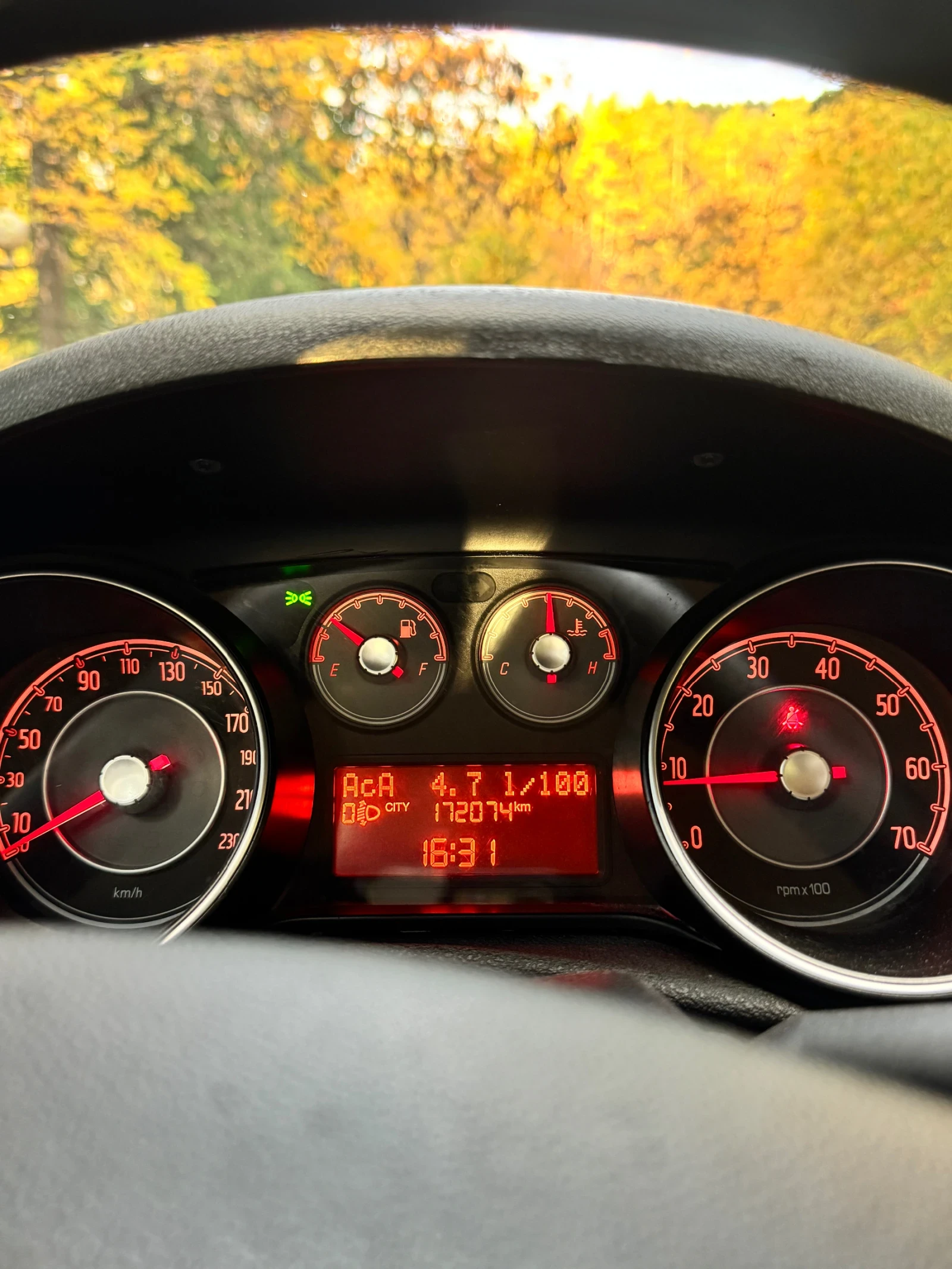 Fiat Punto 1.3 Multijet | Mobile.bg   15