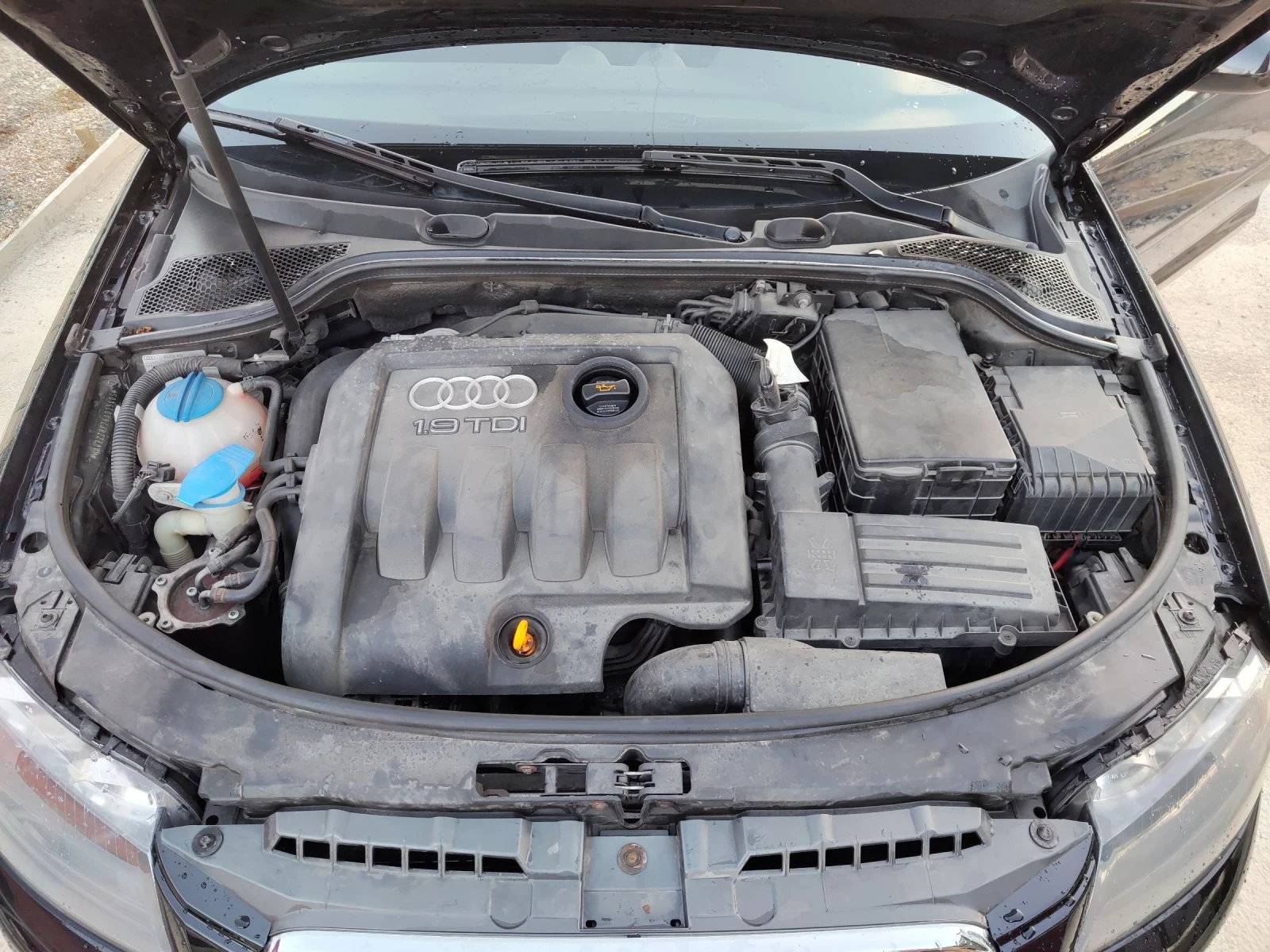 Audi A3 | Mobile.bg � ����������� 14