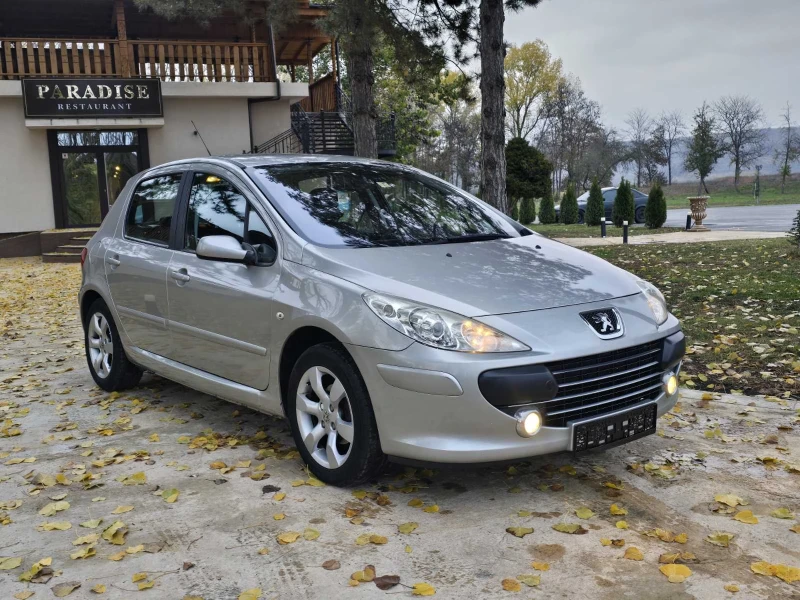 Peugeot 307 1.6, снимка 1 - Автомобили и джипове - 48027395