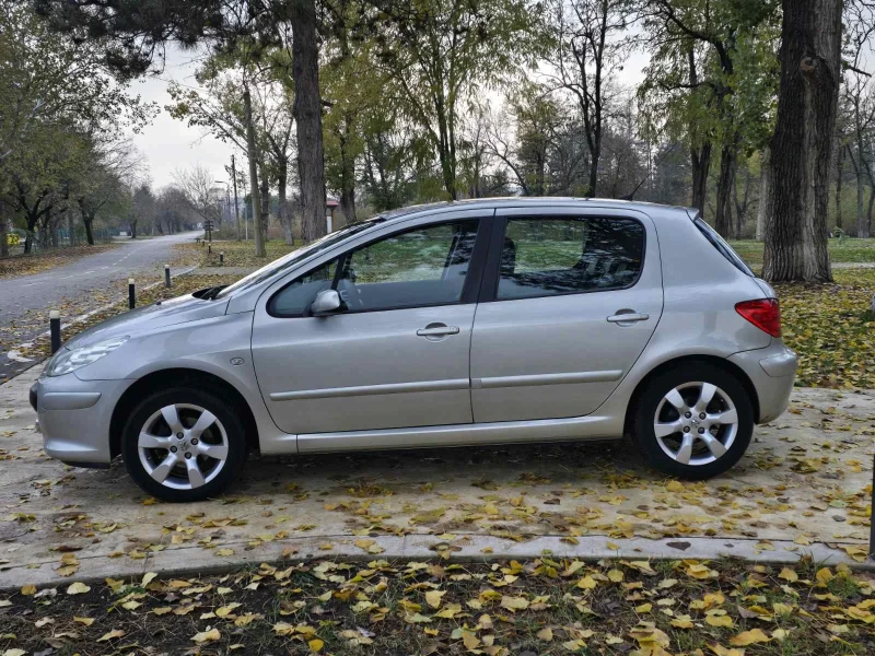 Peugeot 307 1.6, снимка 4 - Автомобили и джипове - 48027395