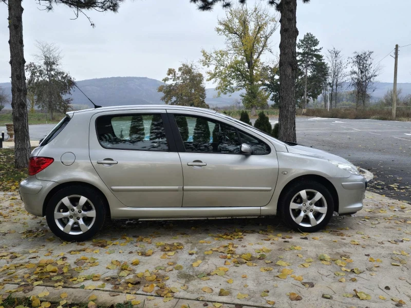 Peugeot 307 1.6, снимка 6 - Автомобили и джипове - 48027395