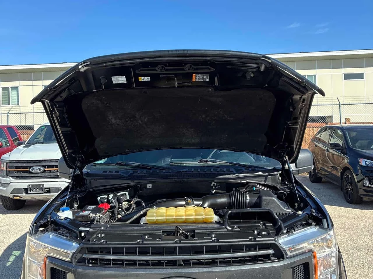 Ford F150  * CARFAX * ������ ���������������� *  | Mobile.bg � ����������� 5