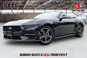 ������ Ford Mustang