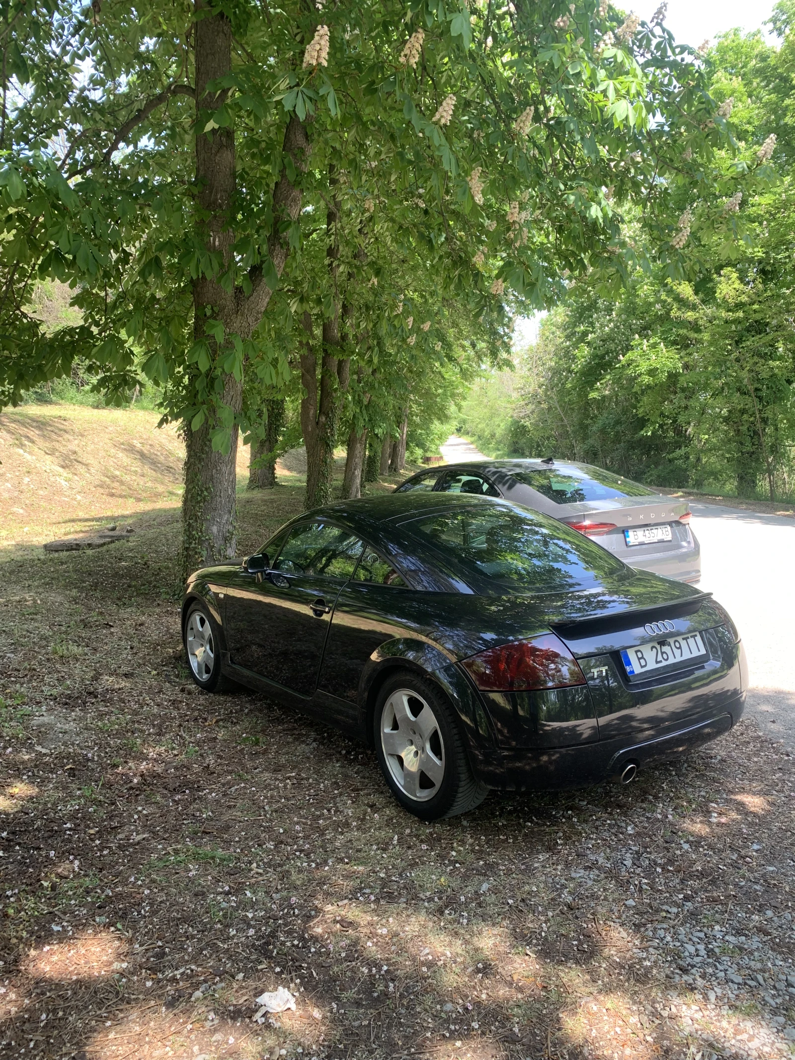 Audi Tt  - изображение 2