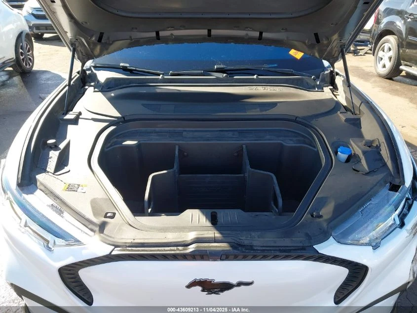 Ford Mustang Mach-E  - изображение 8