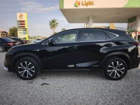 Lexus NX 300h F SPORT 4X4 FULL SERVICE IN LEXUS NEW , снимка 6