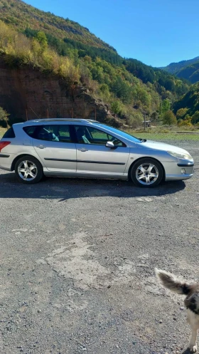 Peugeot 407 SW, снимка 2