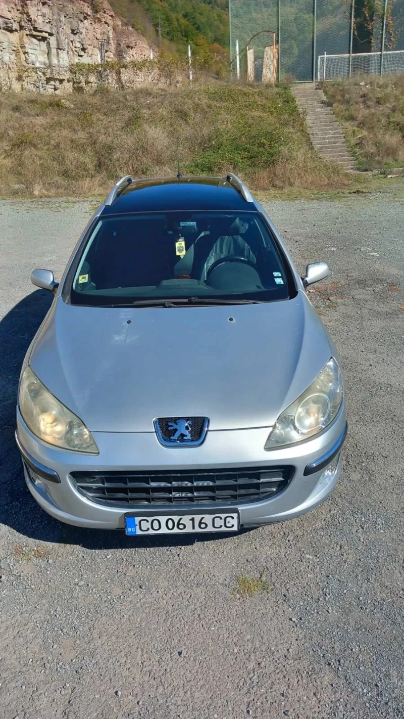 Peugeot 407 SW, снимка 4 - Автомобили и джипове - 47856813