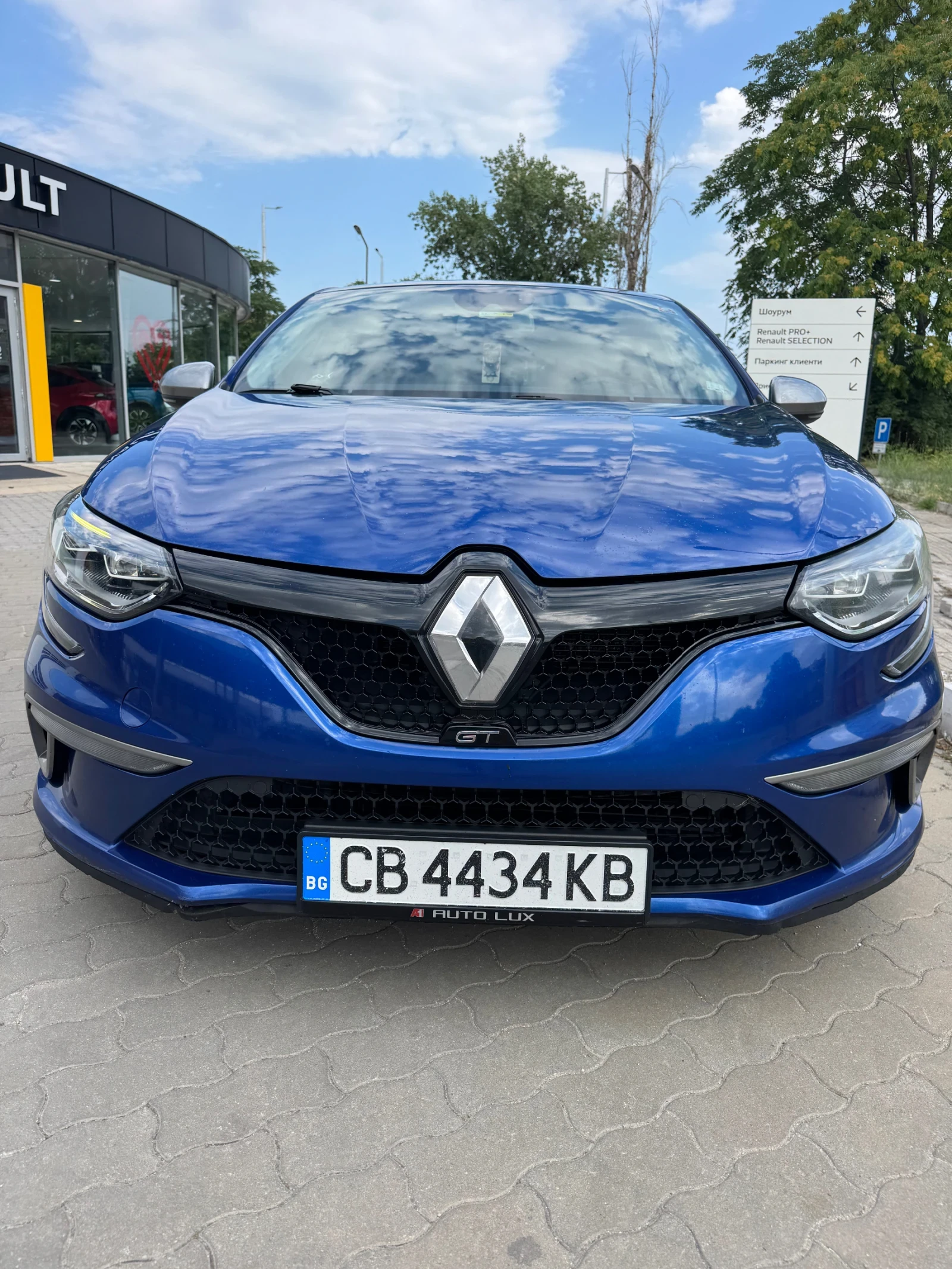 Renault Megane GT Turbo 4 Control, снимка 4 - Автомобили и джипове - 55387867