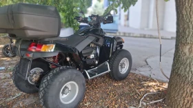 Sym Wild С регистрация , снимка 7