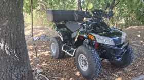 Sym Wild � �����������  | Mobile.bg � ����� ������ 10