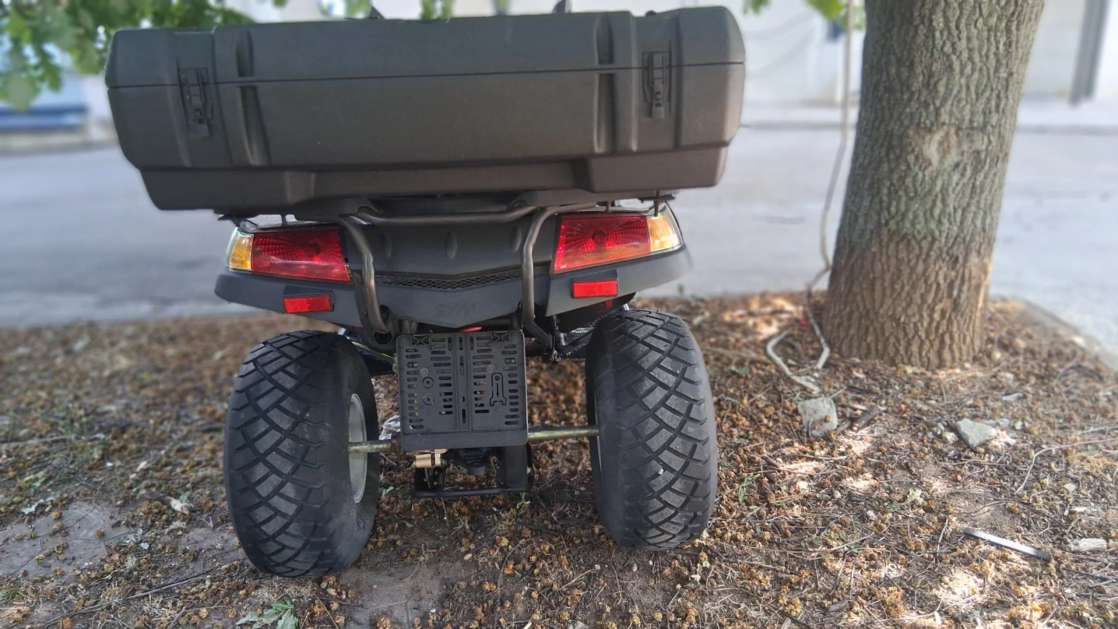 Sym Wild С регистрация , снимка 3 - Мотоциклети и мототехника - 55956269