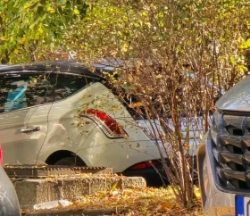 ������ Lancia Delta