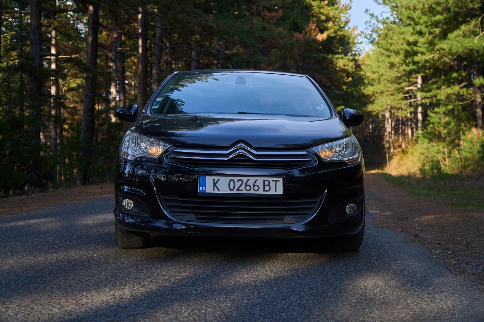 Citroen C4 Citroen C4 Milenium NAVI Euro6, снимка 1