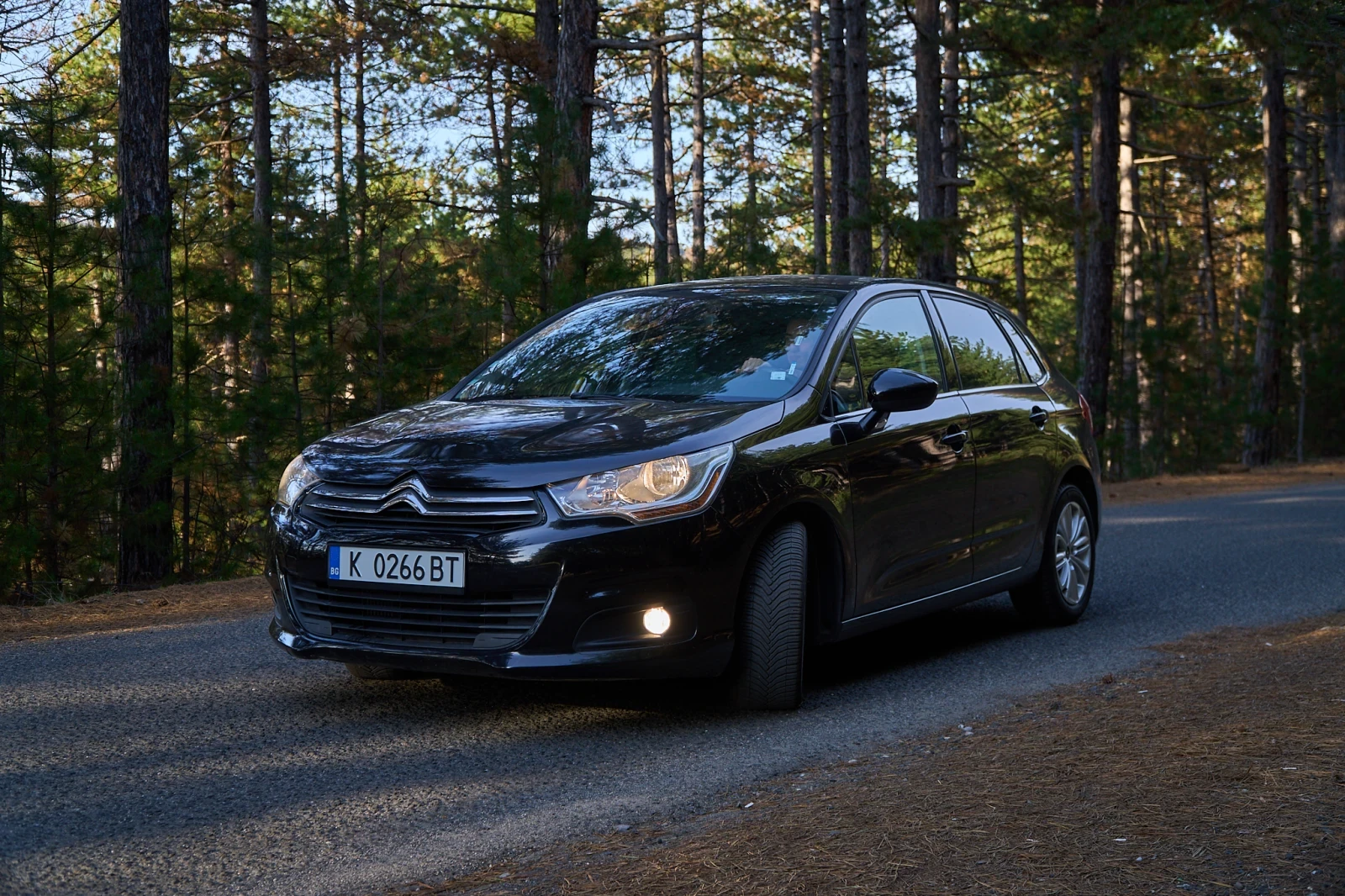 Citroen C4 Citroen C4 Milenium NAVI Euro6 - изображение 2
