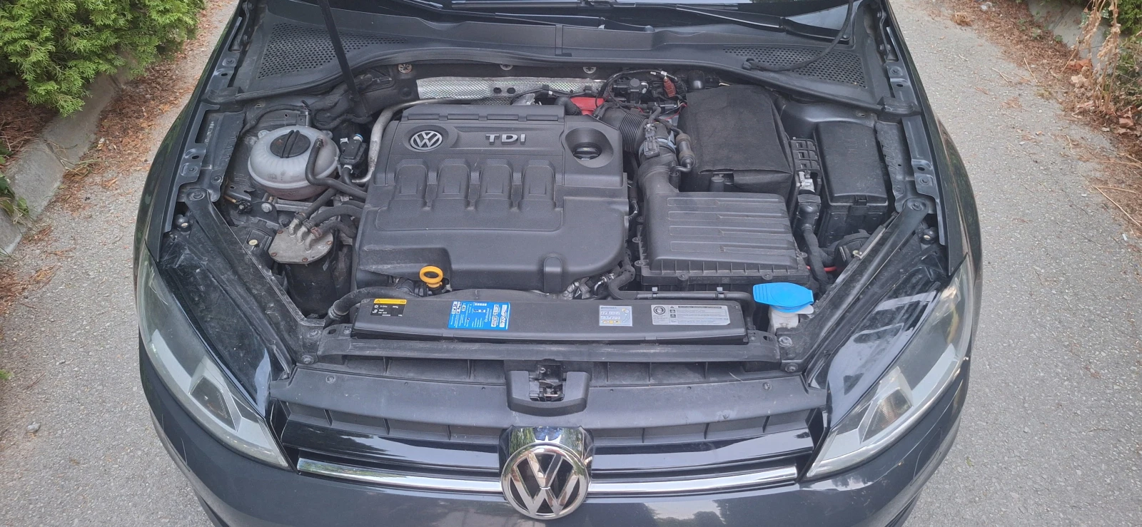 VW Golf 1.6TDI/110kFACE, снимка 12 - Автомобили и джипове - 55772531