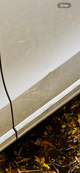 Audi Q5 | Mobile.bg � ����� ������ 17