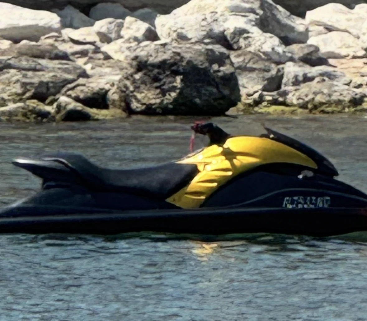 Джет Yamaha GP1300