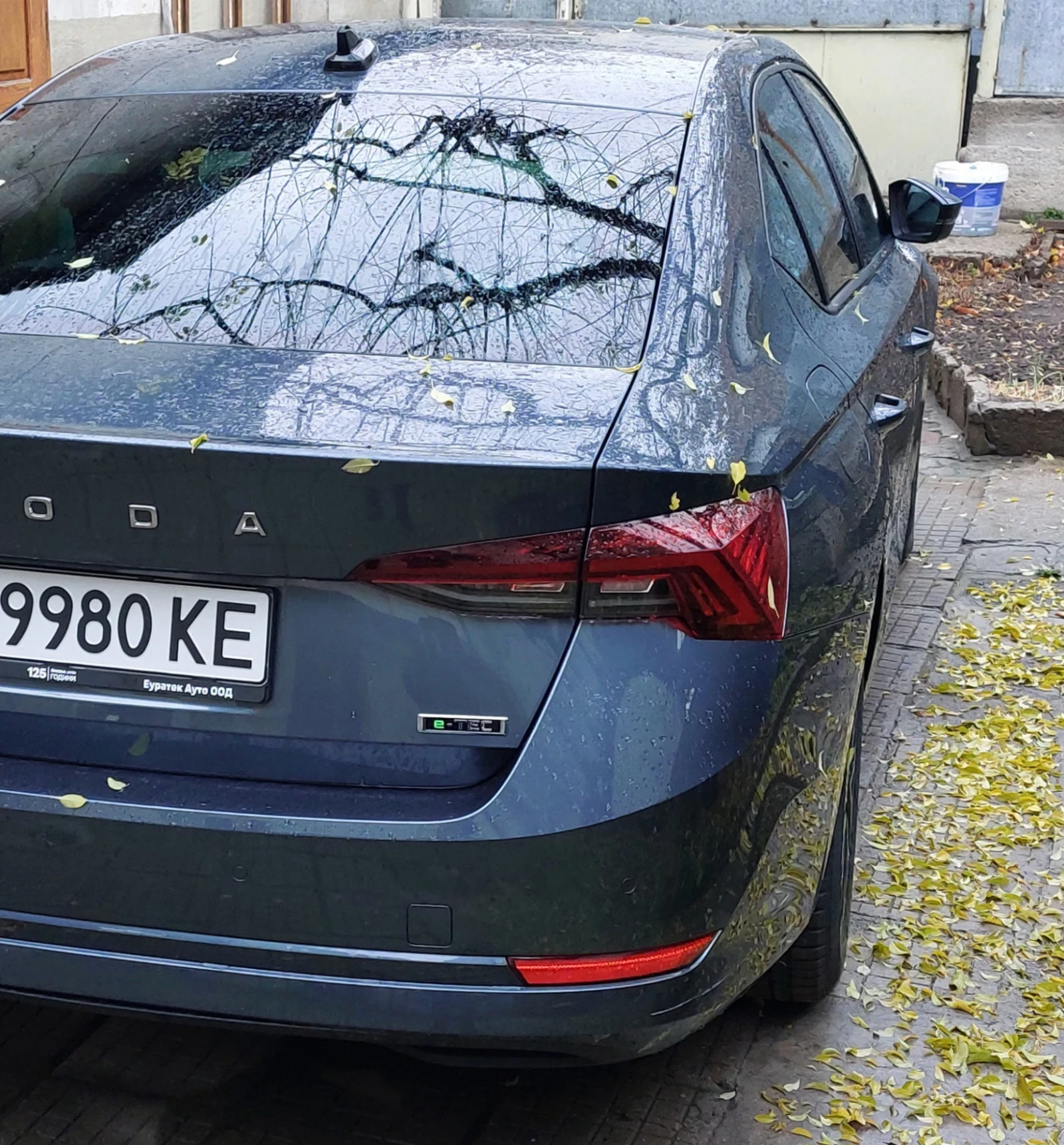 Skoda Octavia  - изображение 3
