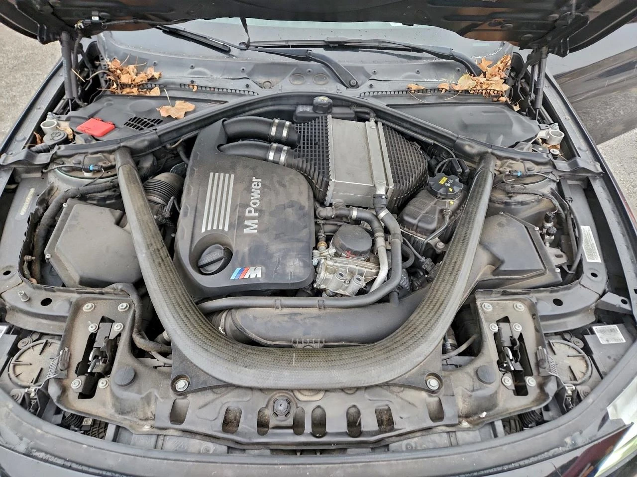 BMW M4 * ���������� �� ������*  | Mobile.bg � ����������� 11