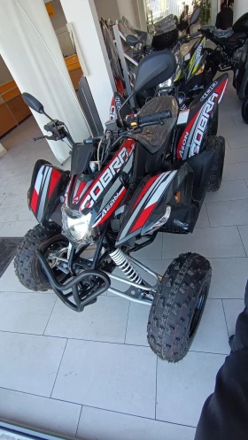 Aeon Cobra 400 EFI, снимка 7