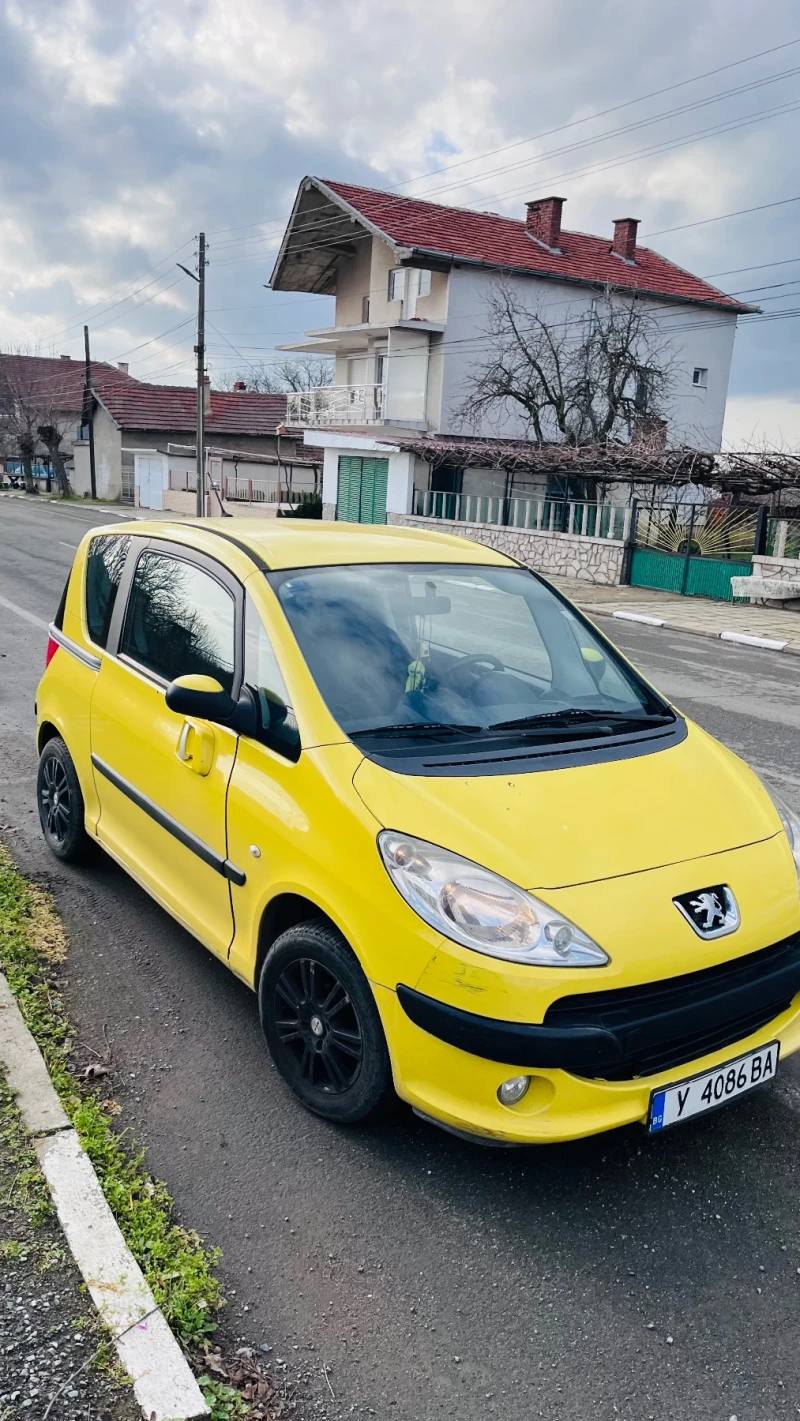 Peugeot 1007 1007