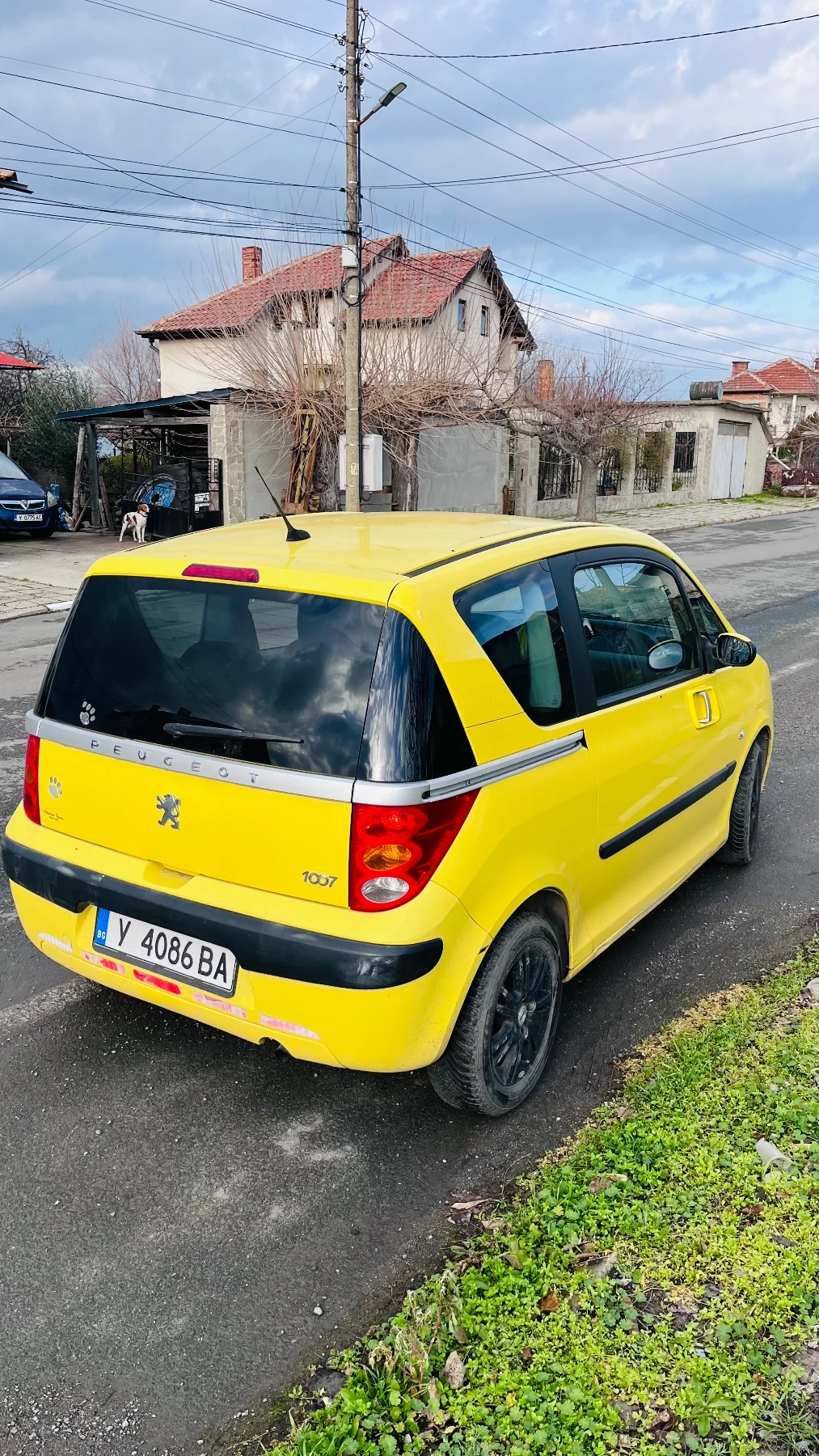 Peugeot 1007 1007 - изображение 3