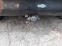 Обява за продажба на Toyota Auris 2.2 d-cat ~11 лв. - изображение 6