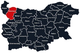 Автодиагностика и ремонт на автомобили / Диагностика и ремонт на коли / Car Service, снимка 14 - Сервизни услуги - 48357588