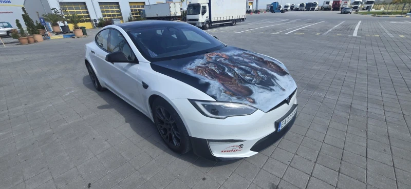 Tesla Model S S plate