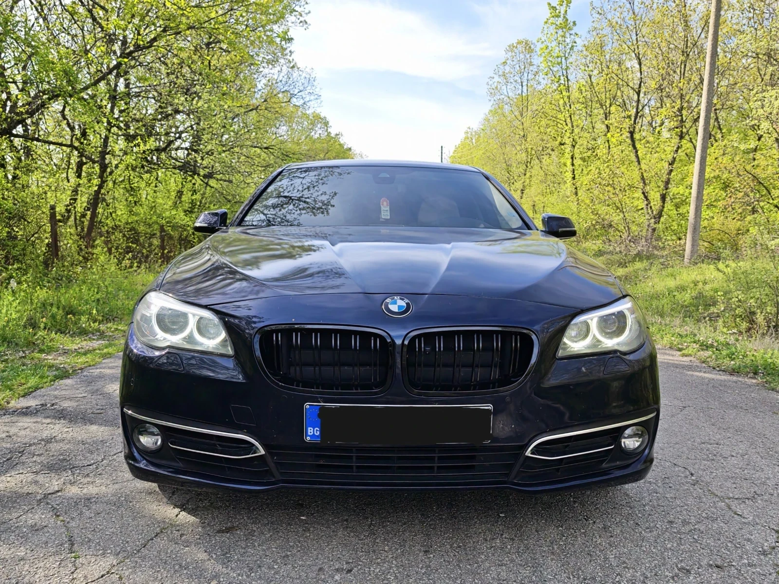 BMW 530 FACELiFT 258к.с. ТОП!! HeadUp, снимка 5 - Автомобили и джипове - 53997306