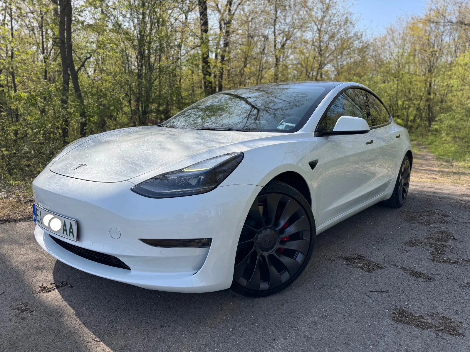 Tesla Model 3 Performance + к-т зим.гуми на джанти - изображение 3