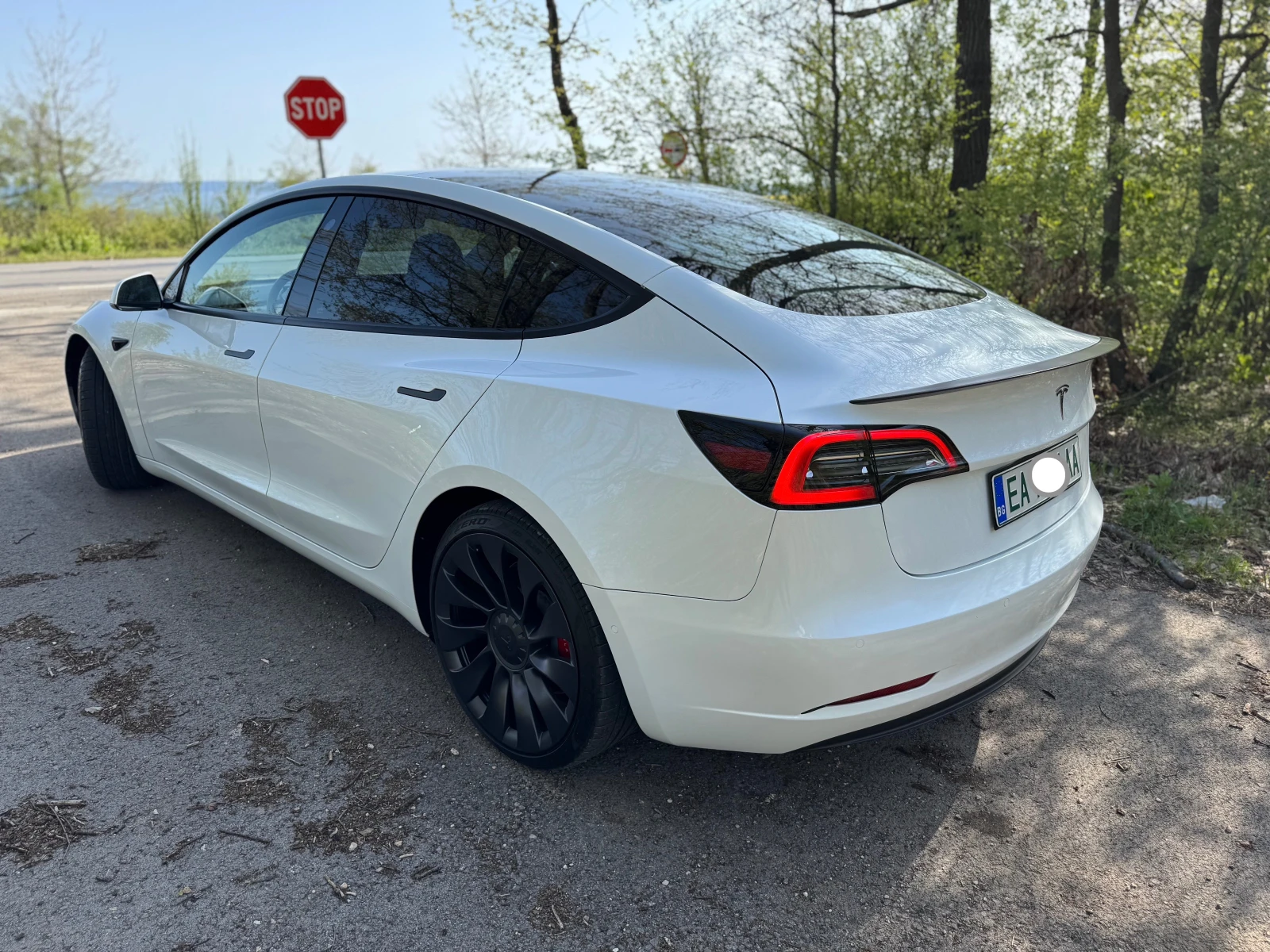 Tesla Model 3 Performance - изображение 2