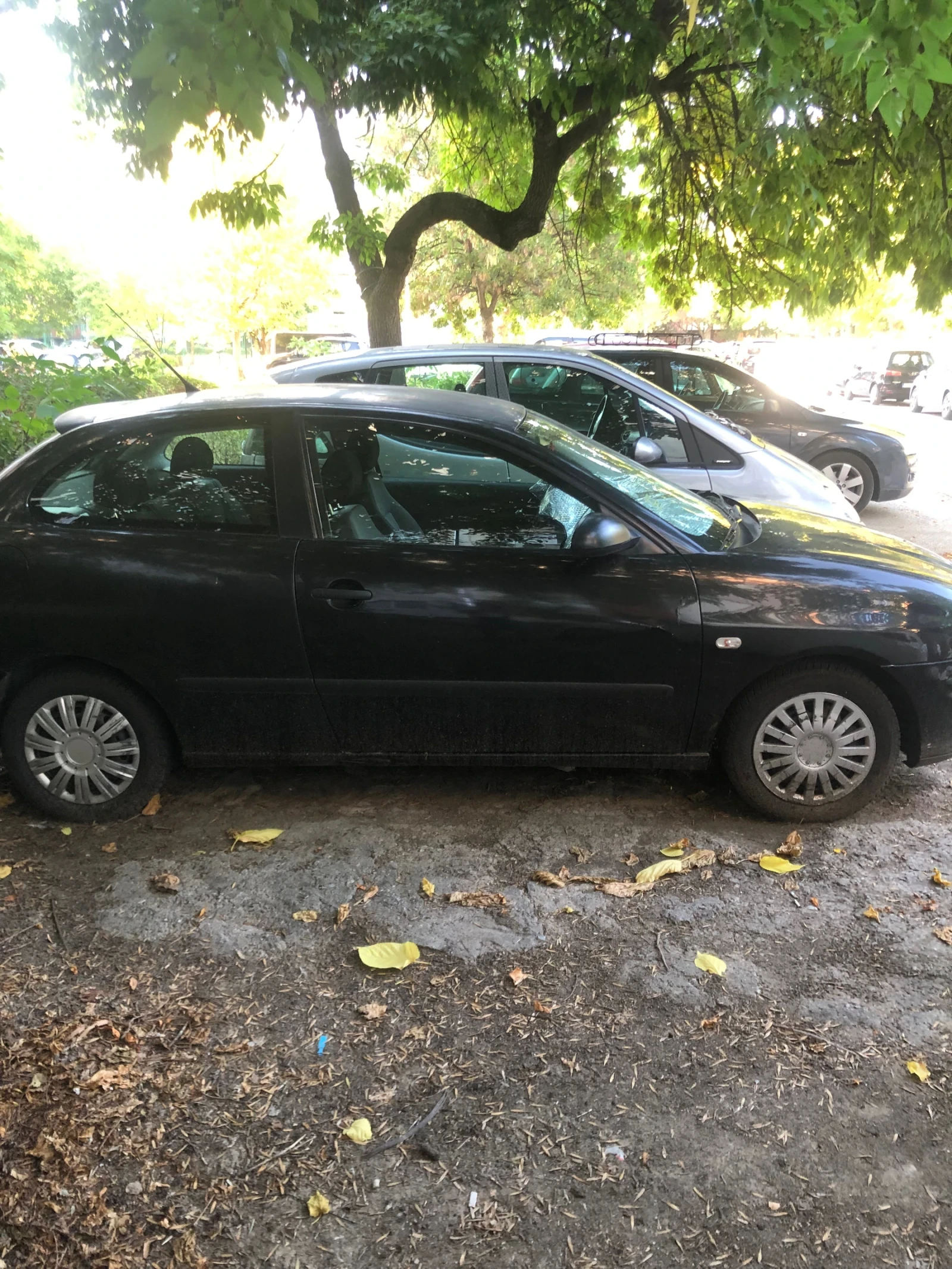 Seat Ibiza  - изображение 3