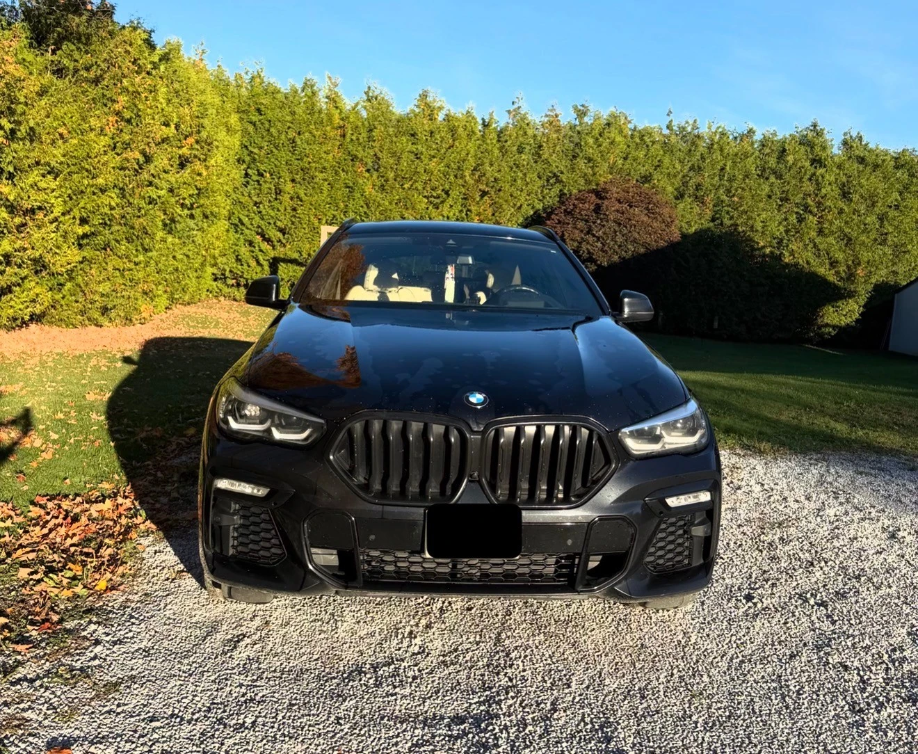 BMW X6 M-Sport * Head-Up * ���� * ���������� (���� �� ��) | Mobile.bg � ����������� 5