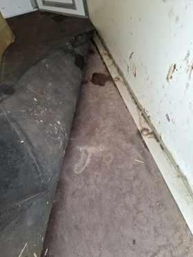 За автомобил Sirius, снимка 12