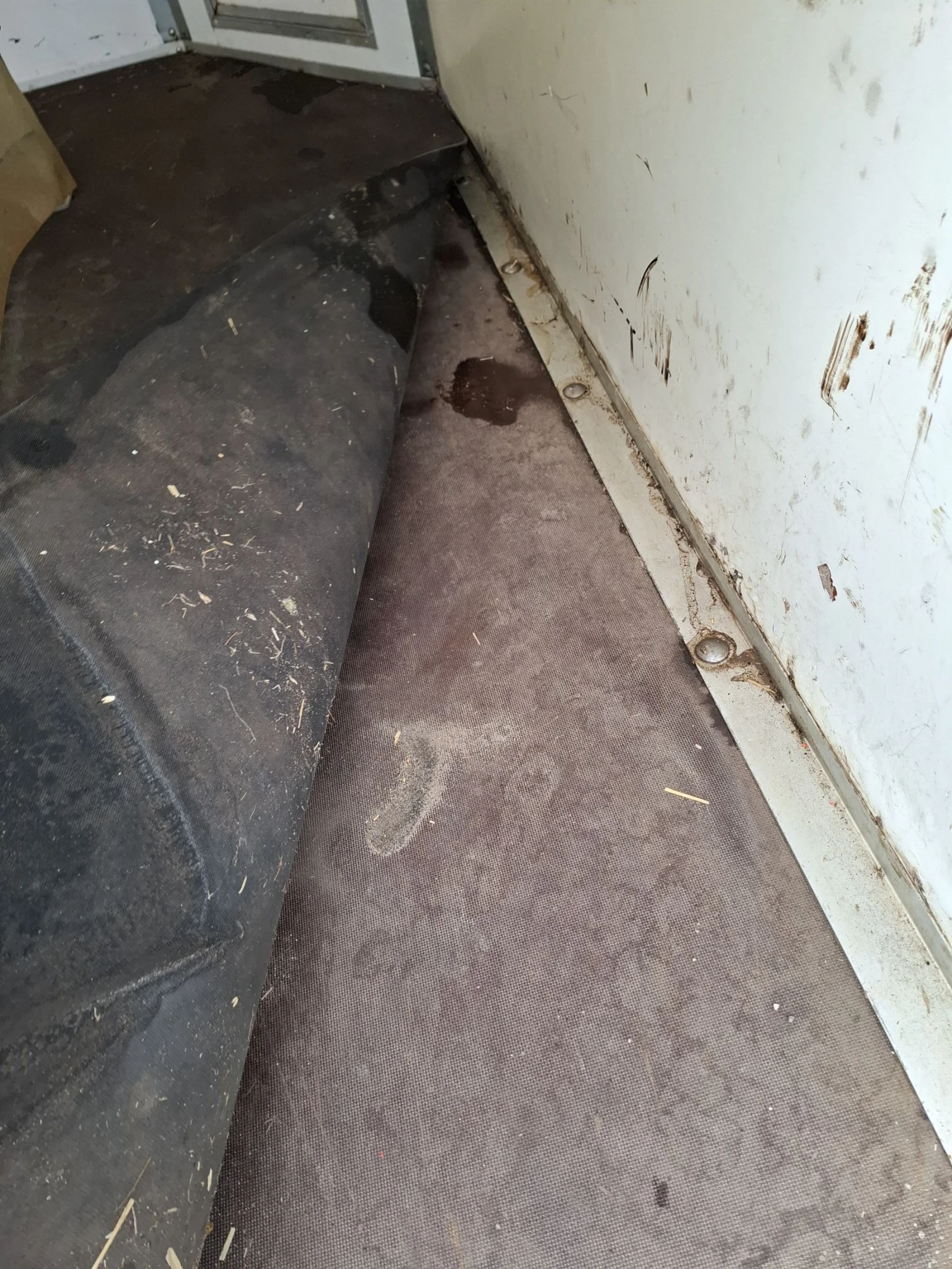   Sirius | Mobile.bg   12