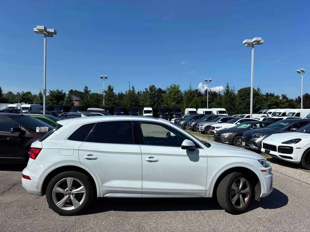 Audi Q5 * Progressiv * CARFAX * БЕЗ ПЪРВОНАЧАЛНА ВНОСКА, снимка 3 - Автомобили и джипове - 55235642