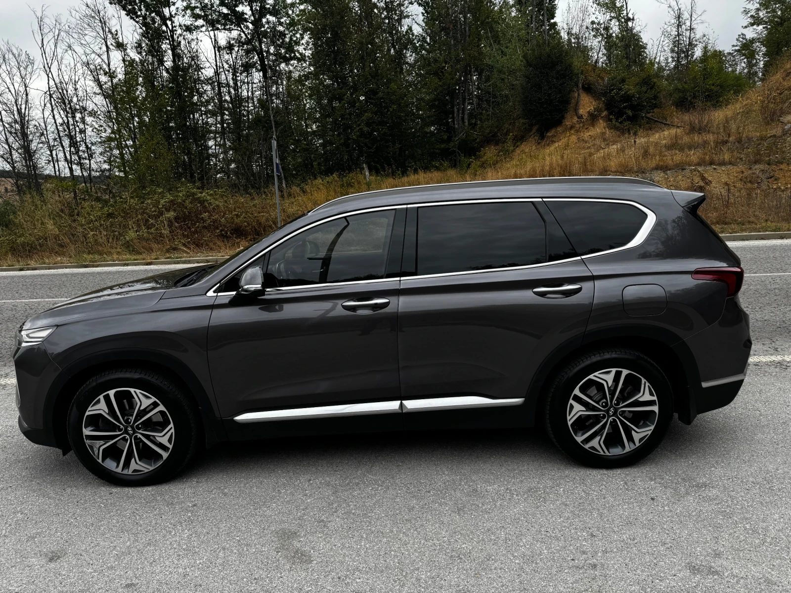 Hyundai Santa fe 2.2Crdi Htrac - Нов от БГ - Всички екстри, снимка 6 - Автомобили и джипове - 56232646