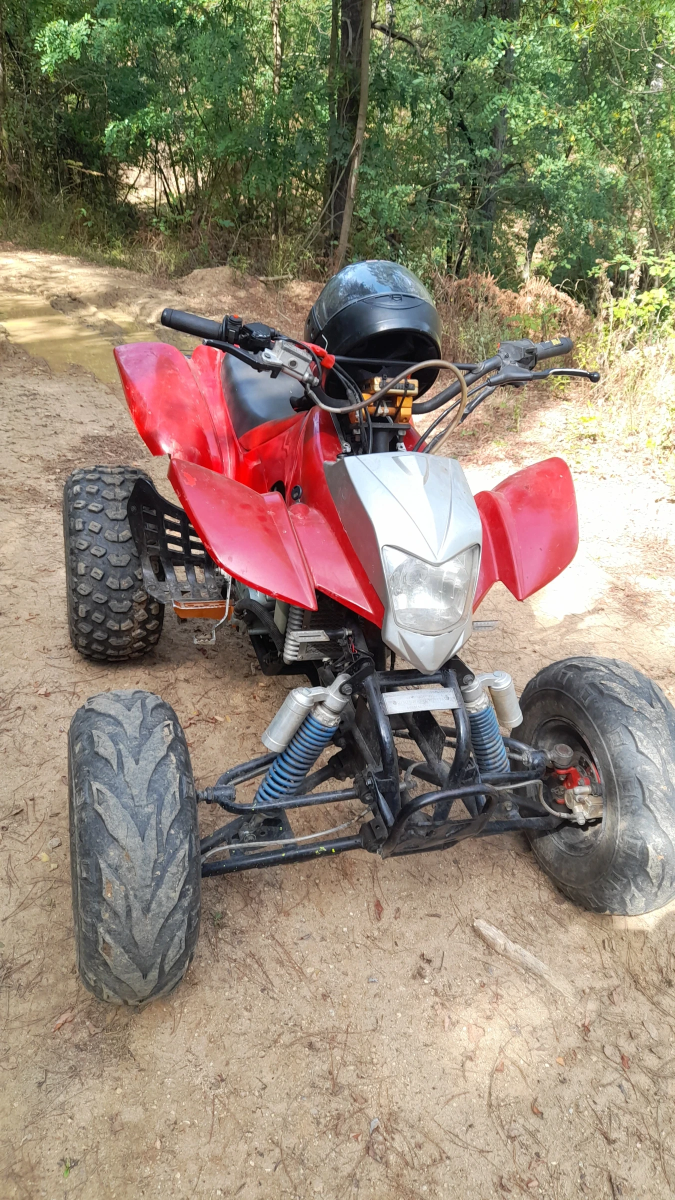 Bashan BS Bashan Bs 200 | Mobile.bg — изображение 1
