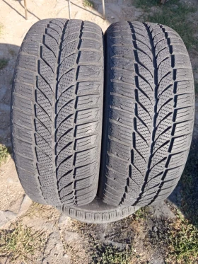 ����� �� �������� �� ���� 195/55R15