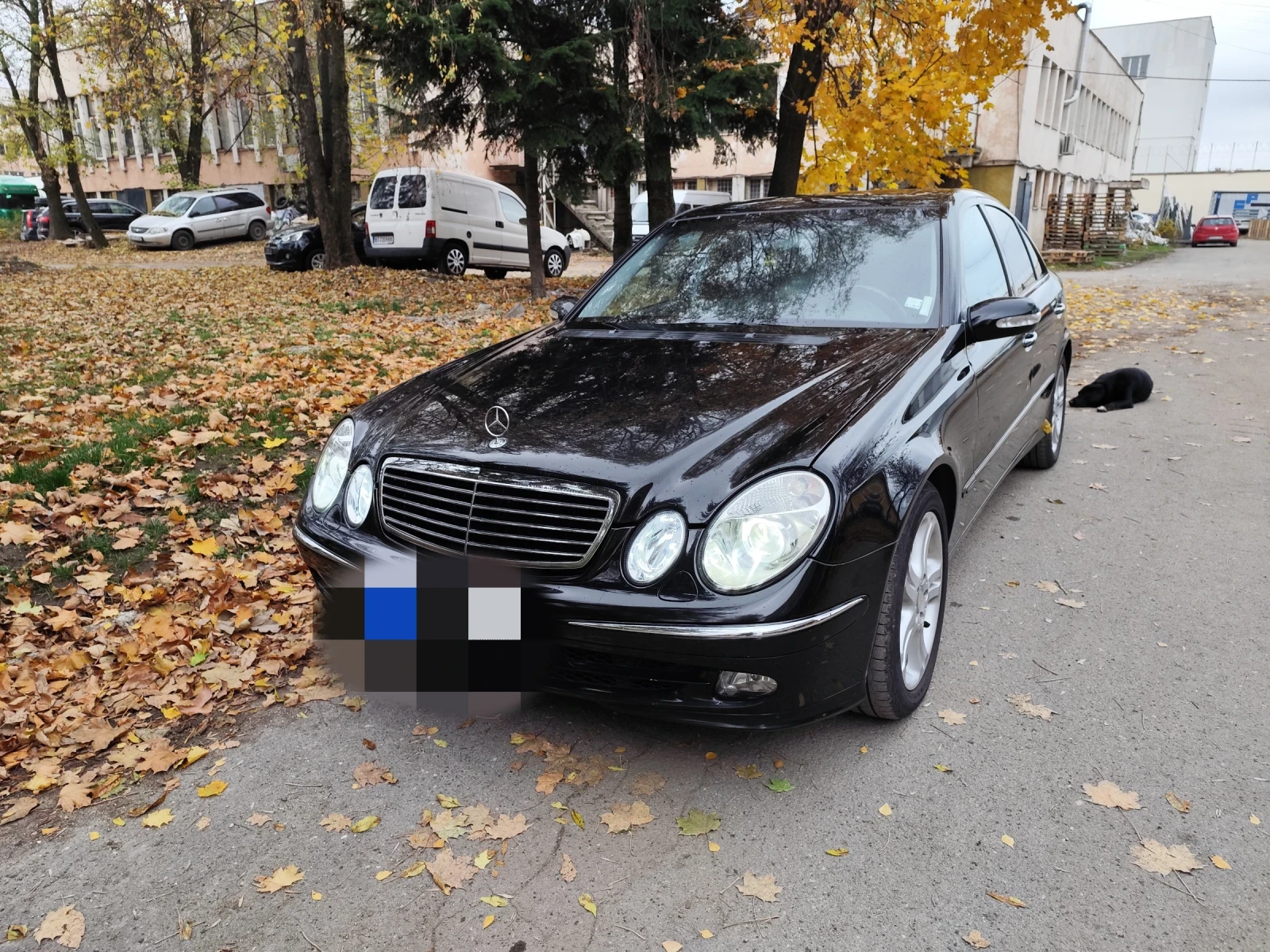 Mercedes-Benz E 500, снимка 6 - Автомобили и джипове - 54580808