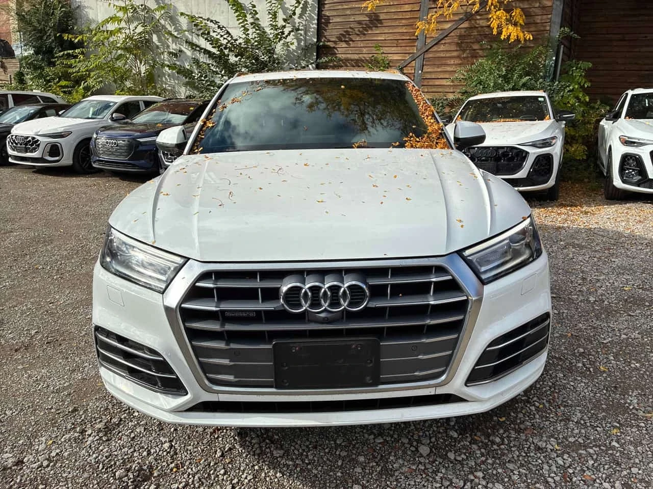 Audi Q5 * Progressiv * CARFAX * ��� ������������ ������ | Mobile.bg � ����������� 6