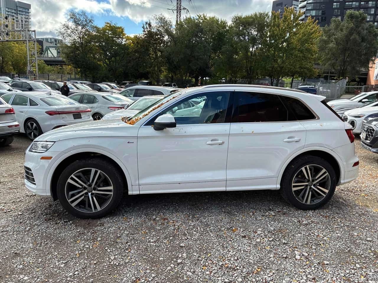 Audi Q5 * Progressiv * CARFAX * ��� ������������ ������ | Mobile.bg � ����������� 2